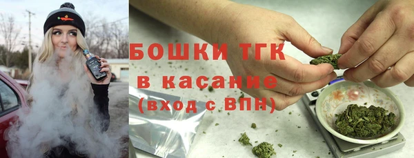 дмт Вяземский