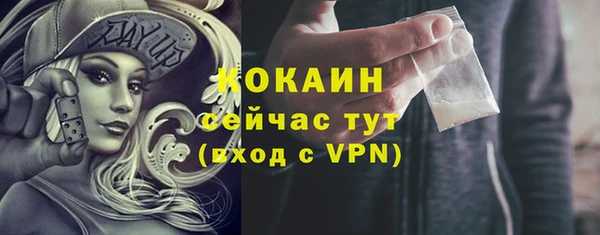 дмт Вяземский