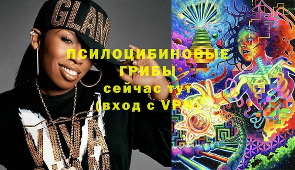 тгк Горняк