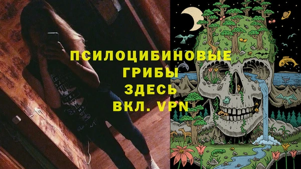 дживик Горно-Алтайск