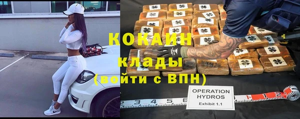 тгк Горняк