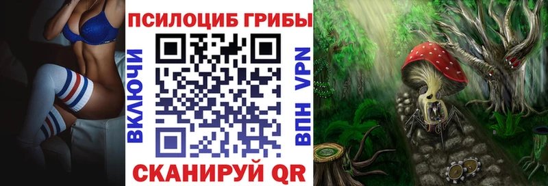 Галлюциногенные грибы прущие грибы  Междуреченск 
