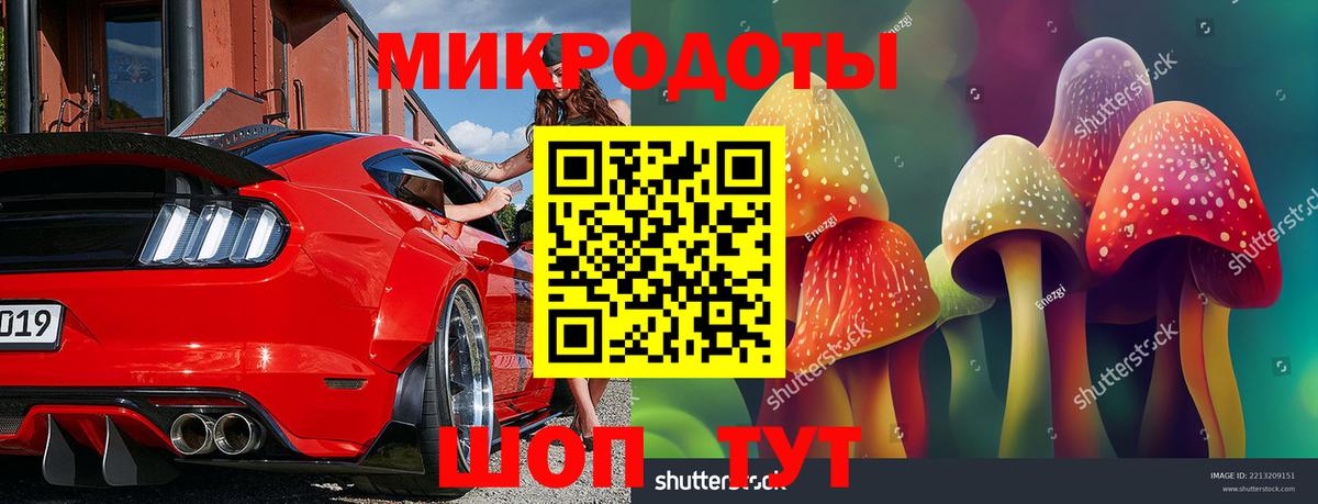 Галлюциногенные грибы прущие грибы  Вход с VPN  Междуреченск 