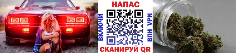 Шишки марихуана Amnesia сколько стоит KRAKEN зеркало Междуреченск
